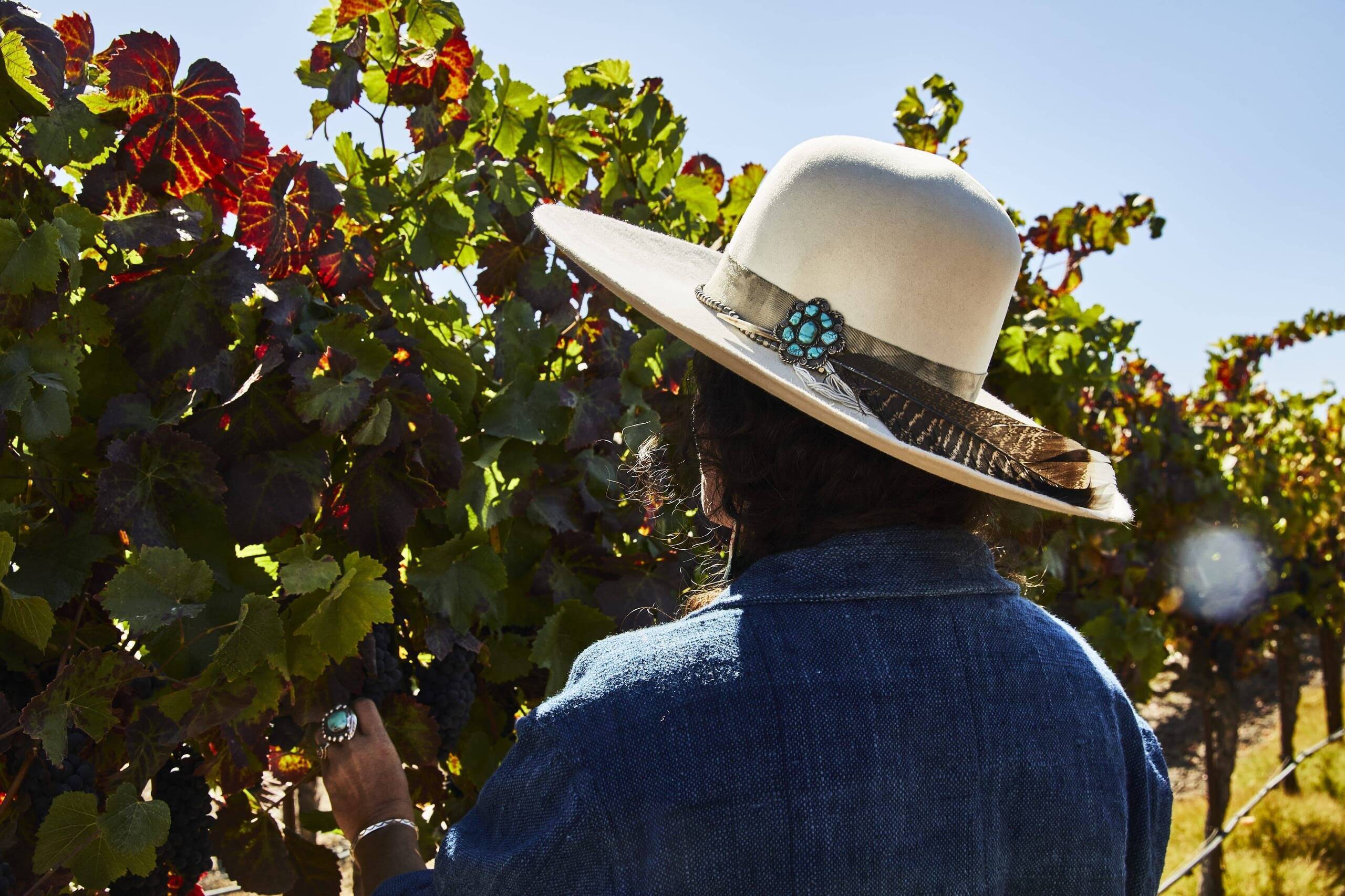 A person picking through grapes at Stanly Ranch