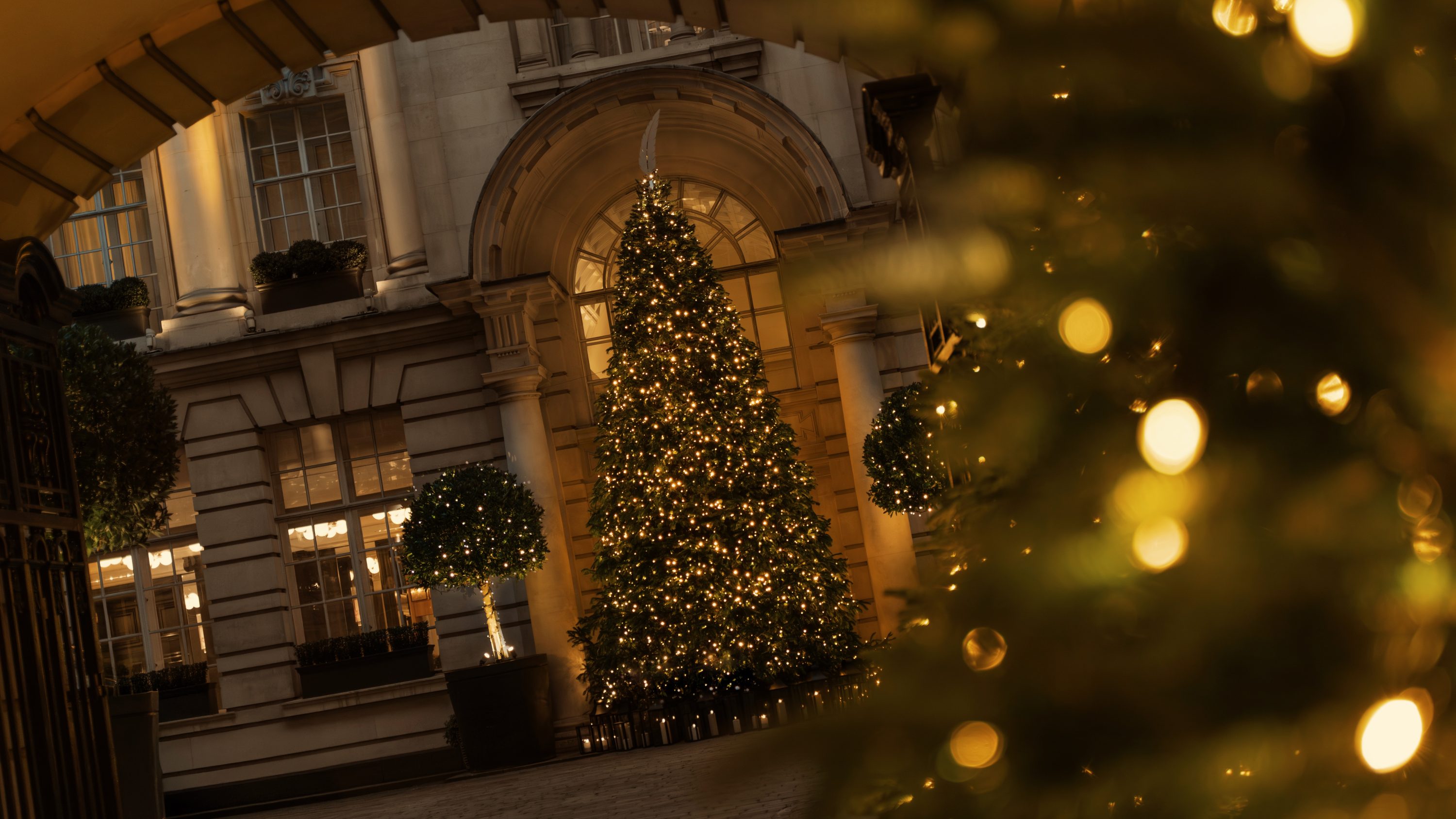 rosewood hotels europe rosewood london festive property decor ( )