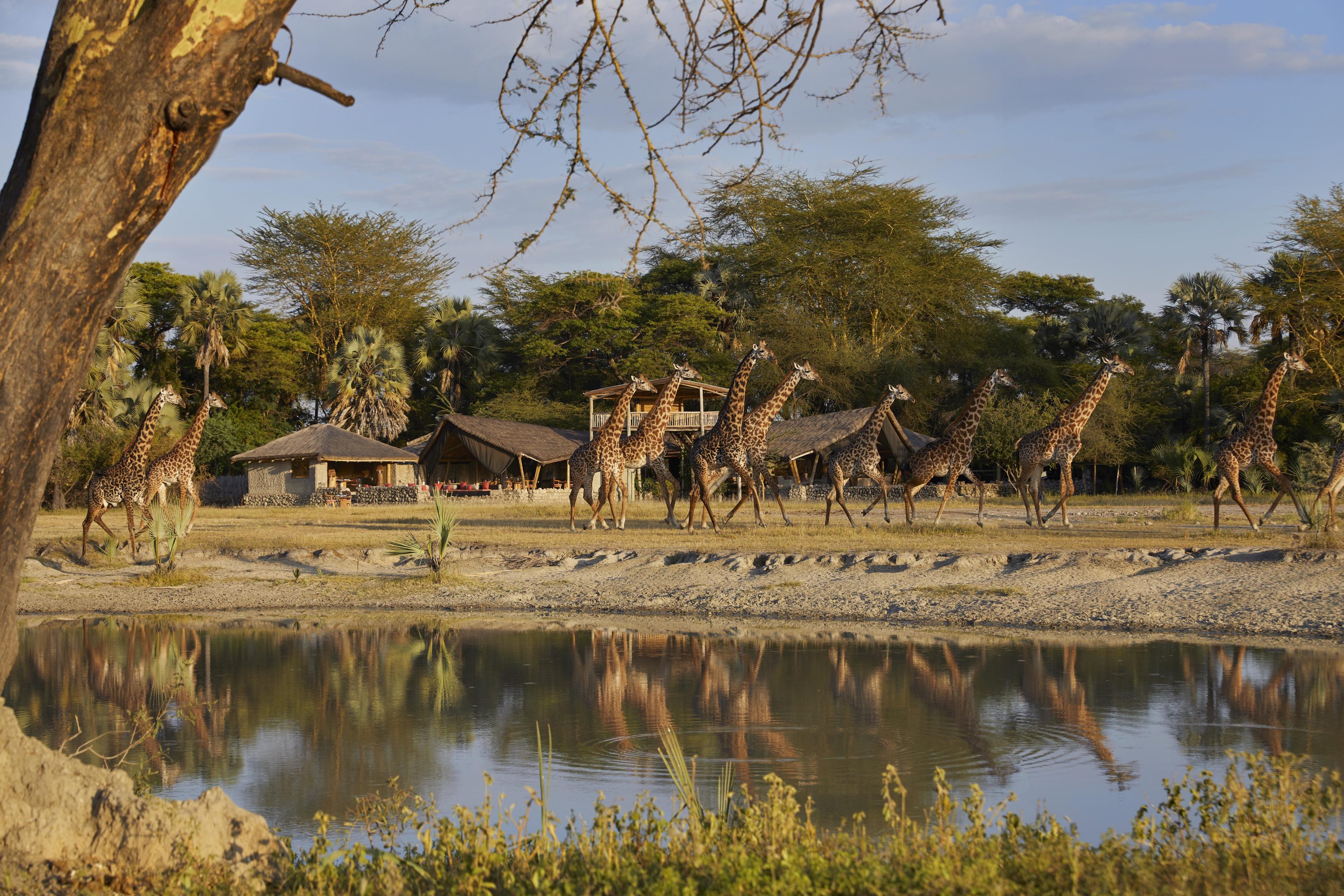 The Ultimate Northern Safari with Auberge