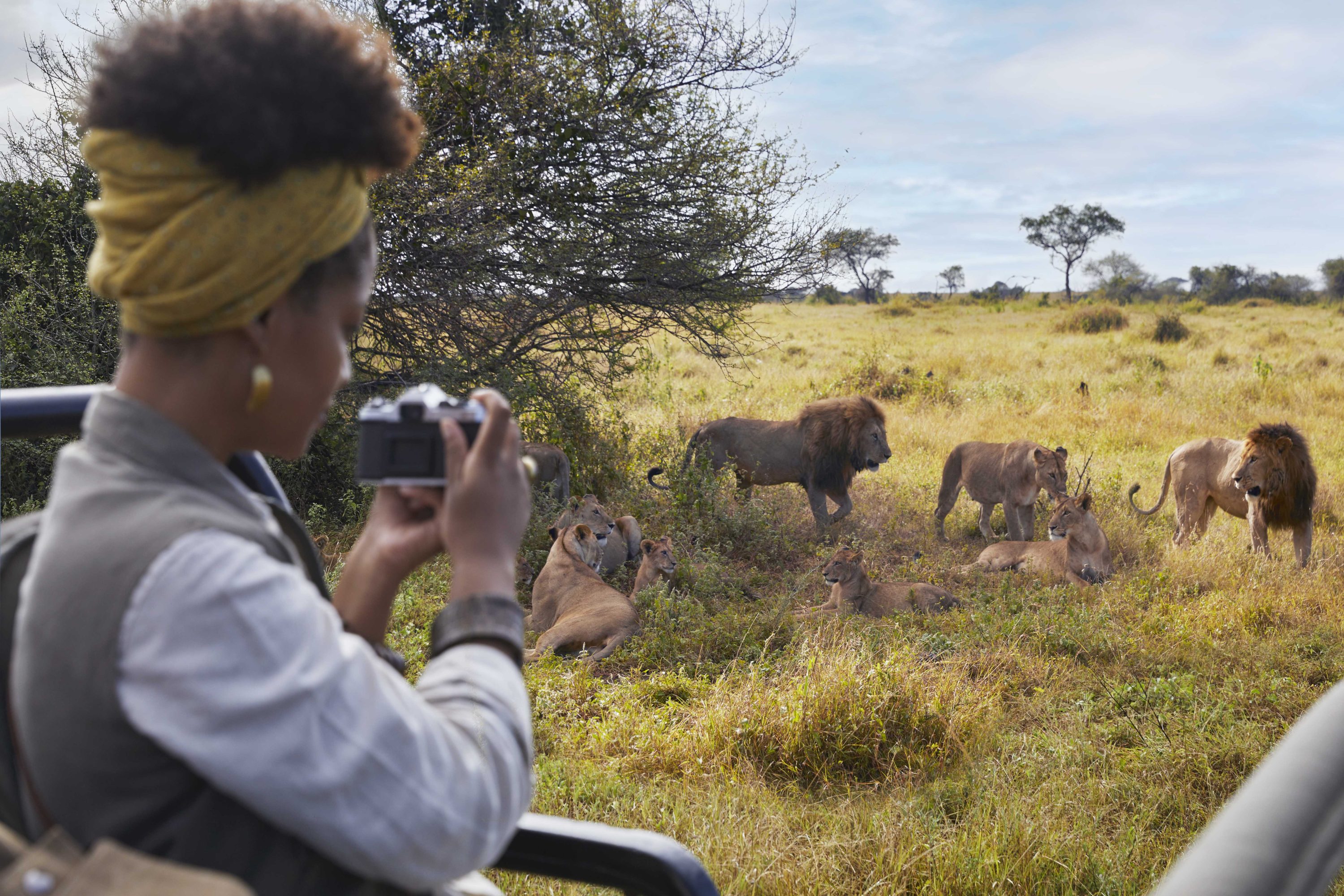 tzn mila western serengeti auberge safari