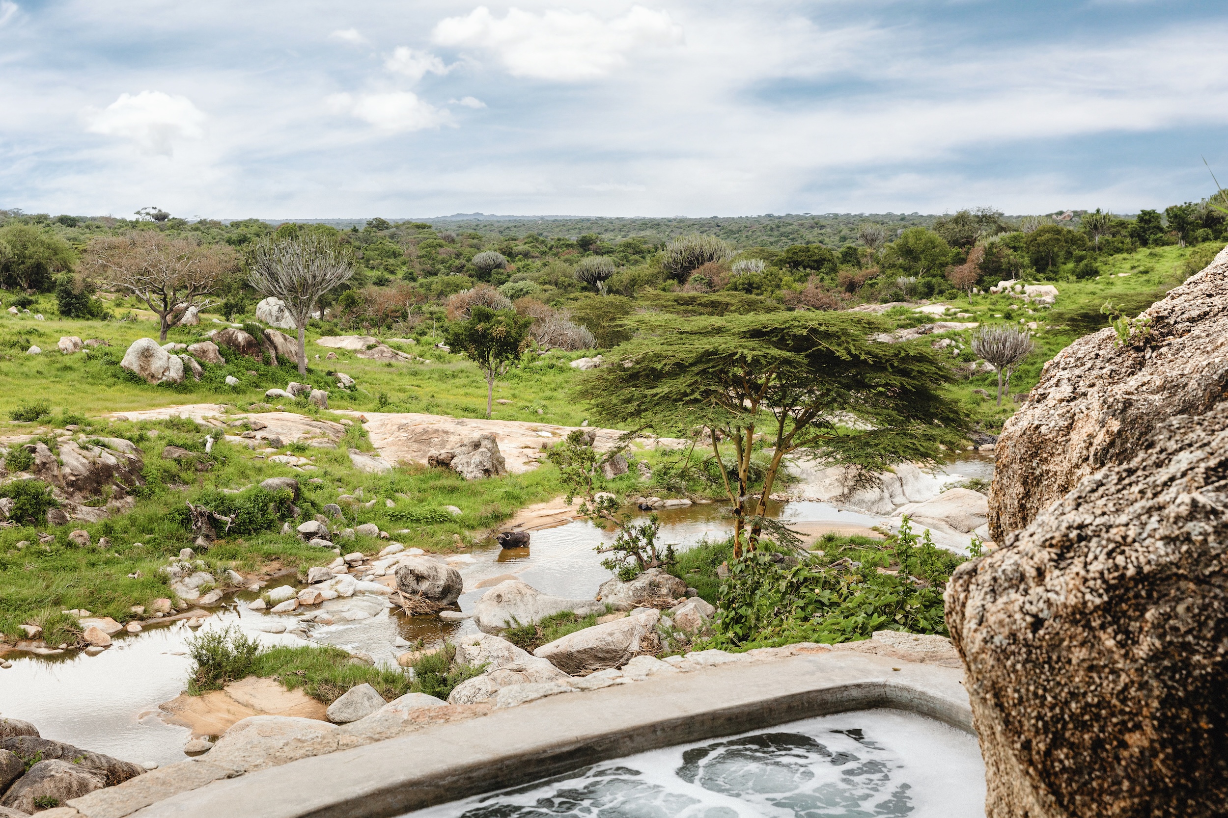 tza mwiba jacuzzi r l
