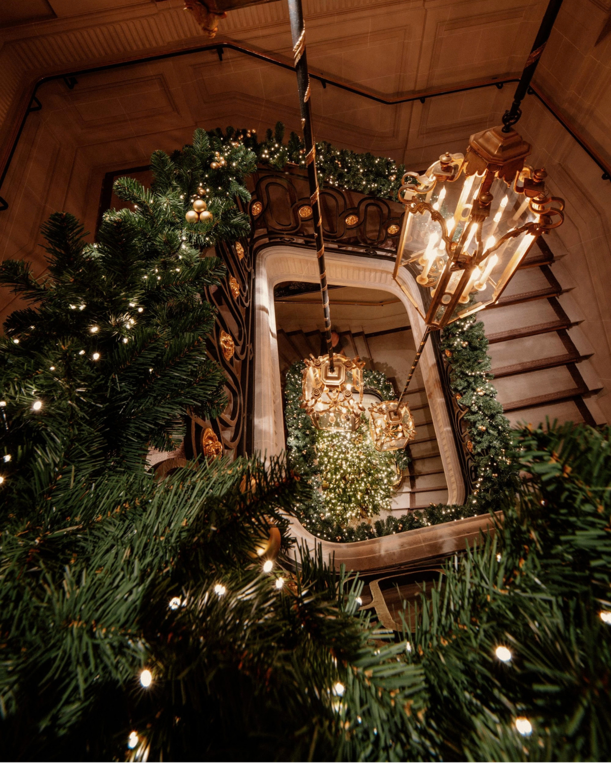 dior display paris ( )
